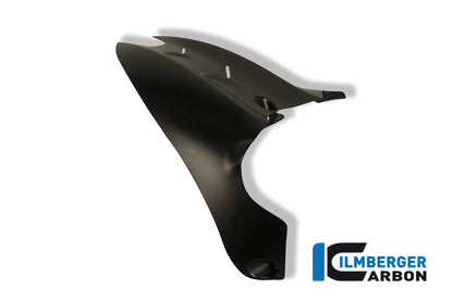 Carbon bakre fender (Hugger) Ducati Diavel Ducati Diavel Strada (2013-2015)