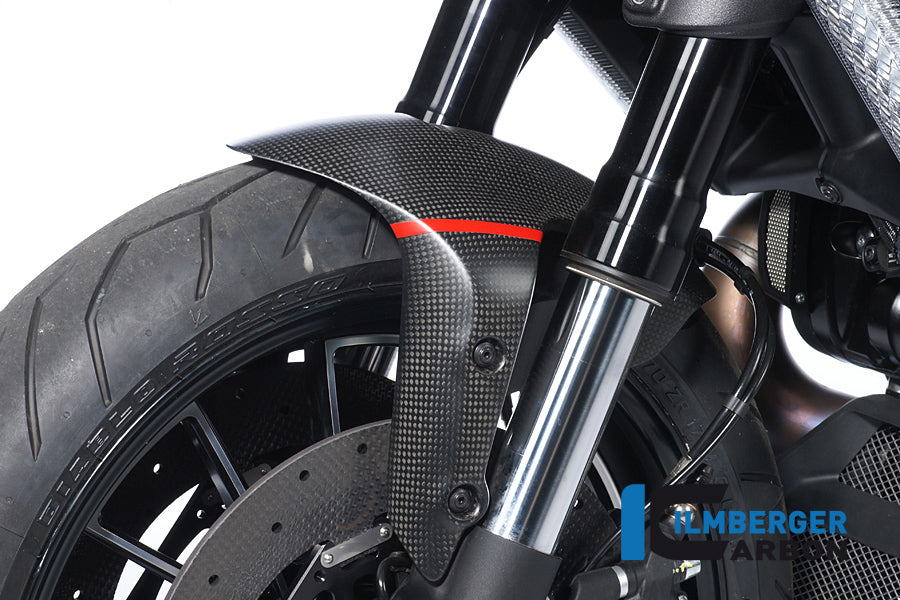 Carbon Front Fender Ducati Diavel Ducati Diavel Strada (2013-2015)