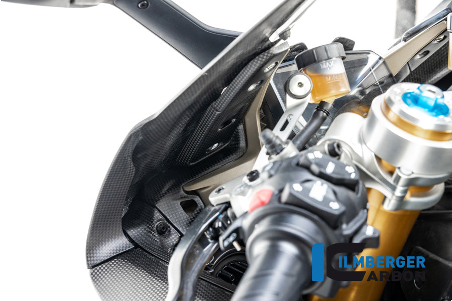 Instrumenttäckning Matt Carbon Panigale V4 / V4 S