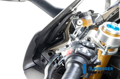 Instrumenttäckning Matt Carbon Panigale V4 / V4 S