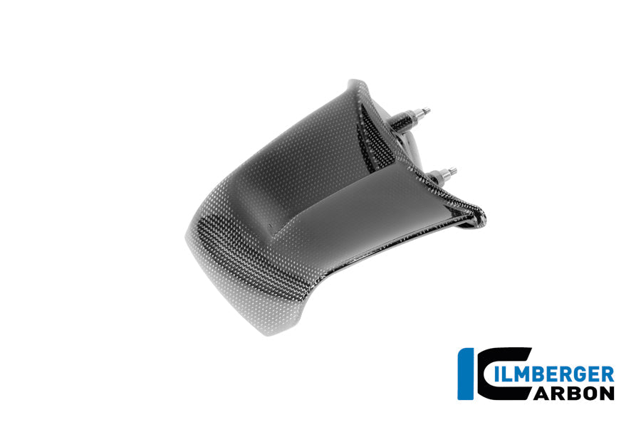 Winglet (links) glanzend carbon Ducati Panigale V4 Tricolore Italia (2025+)