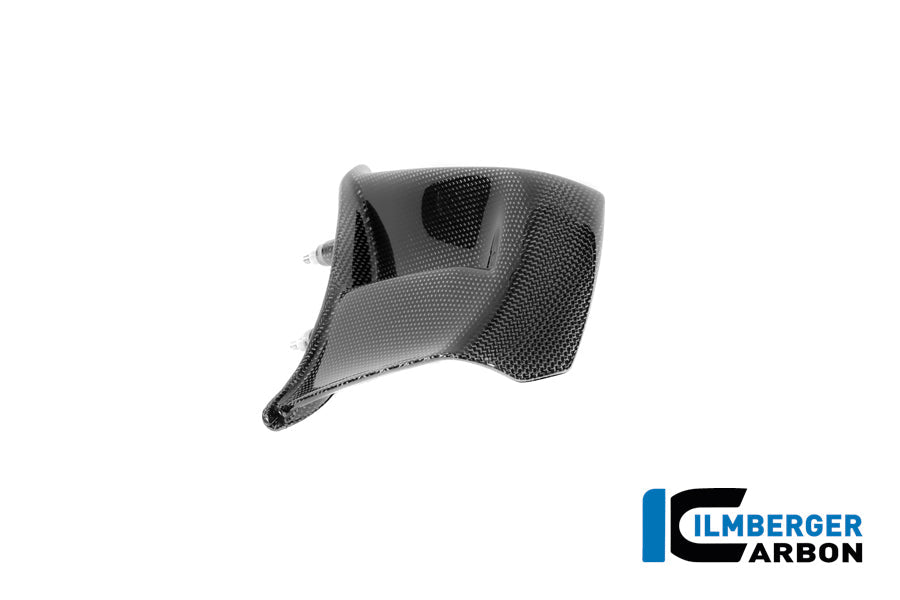 Winglet (rechts) glanzend carbon Ducati Panigale V4 Tricolore Italia (2025+)