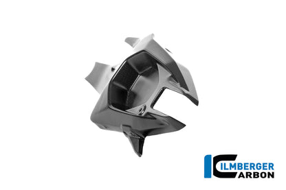 Achterbrugbeschermer (links) mat carbon Ducati Panigale V4 Tricolore (2025+)