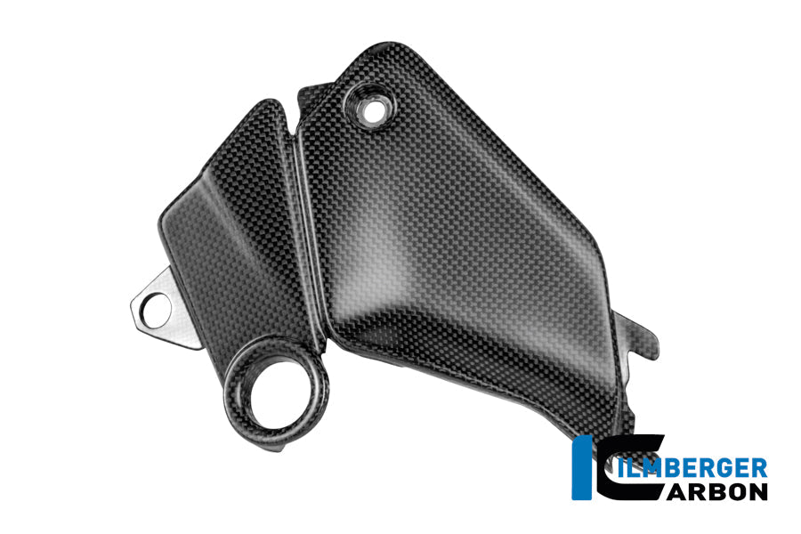 Cover aan de zijkant van de tank links mat carbon Ducati Panigale V4R ((2026+))