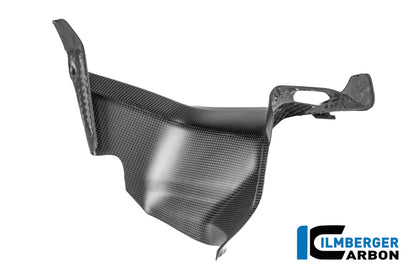 Luchtkanaalcover (links) mat carbon Ducati Panigale V4 (2025+)