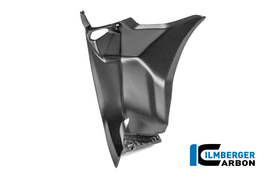 Luchtkanaalcover (links) mat carbon Ducati Panigale V4 (2025+)