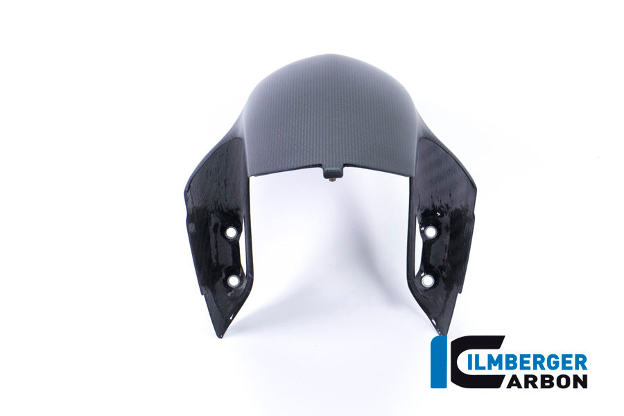 Front Mudguard Matt Ducati Panigale V4 R (2019+)
