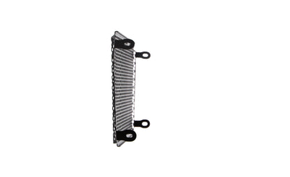 Evotech Aprilia Shiver SL 750 Radiatorcover (2017)
