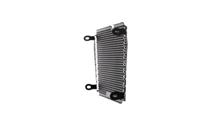 Evotech Aprilia Shiver SL 750 Radiatorcover (2017)