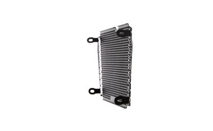 Evotech Radiatorcover - Aprilia Dorsoduro 750 (2017)