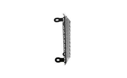 Evotech Radiatorcover - Aprilia Dorsoduro 750 (2008 - 2016)