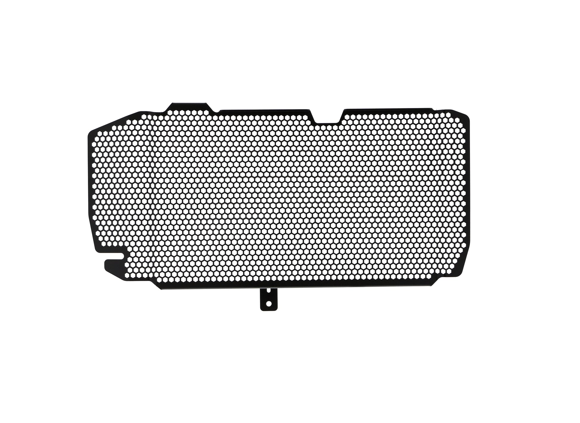 Evotech BMW F 800 R Radiatorcover 2015-2019