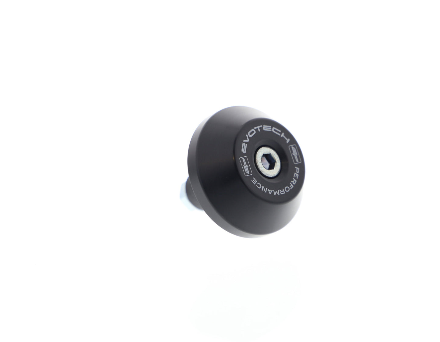 Evotech Swingarm Protection - BMW R 1250 R (2019+)