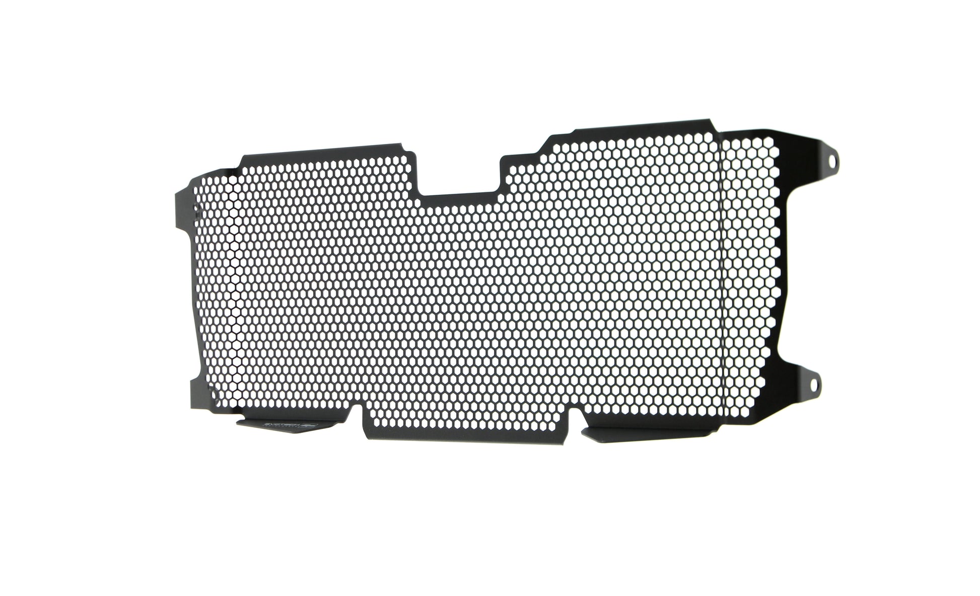Evotech BMW R 1250 R Exclusive Radiatorcover 2019+