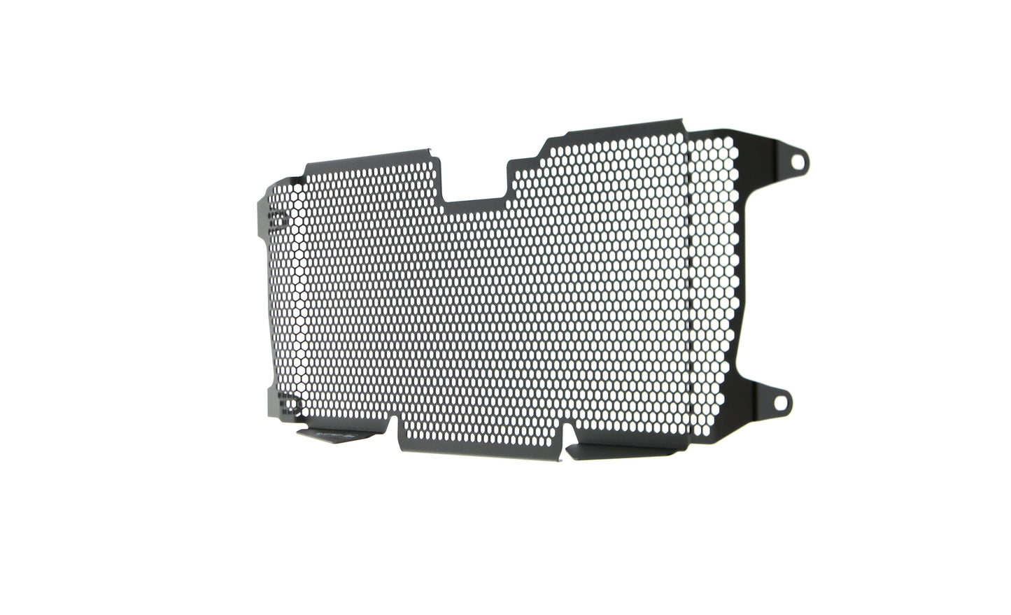 Evotech BMW R 1250 RS Radiatorcover (2019+)