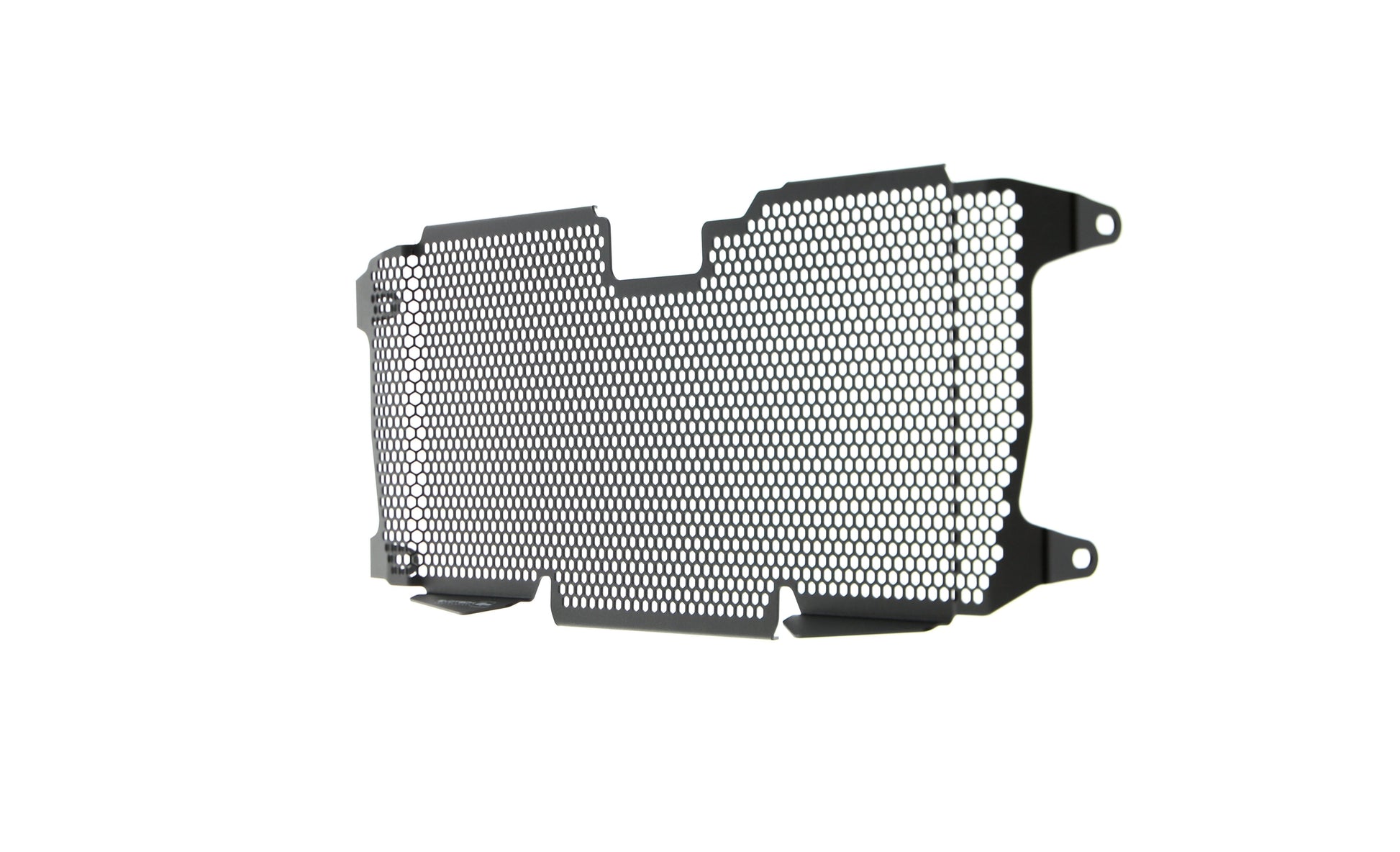 Evotech BMW R 1250 RS Radiatorcover (2022+)