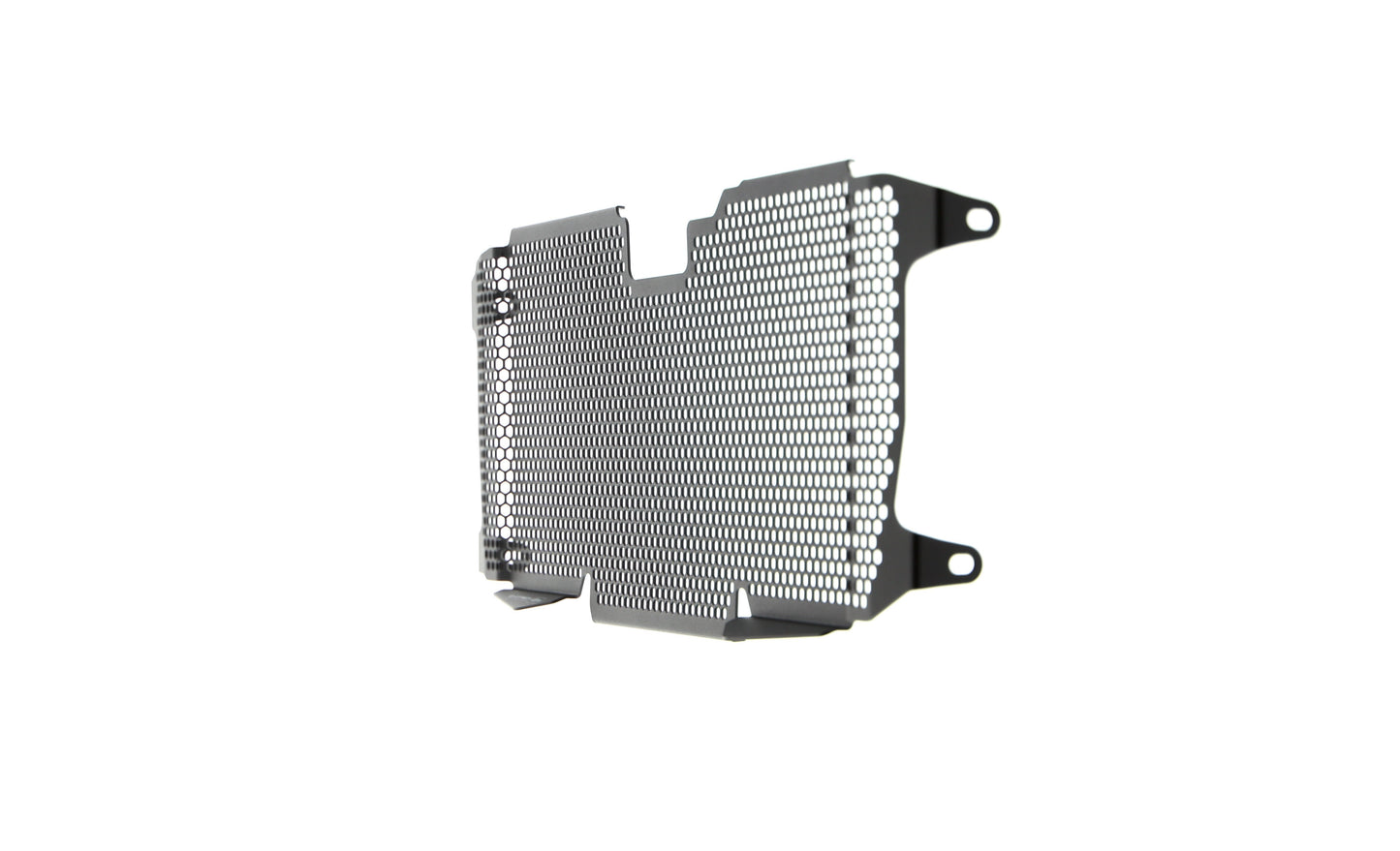 Evotech BMW R 1250 R Radiatorcover (2019+)