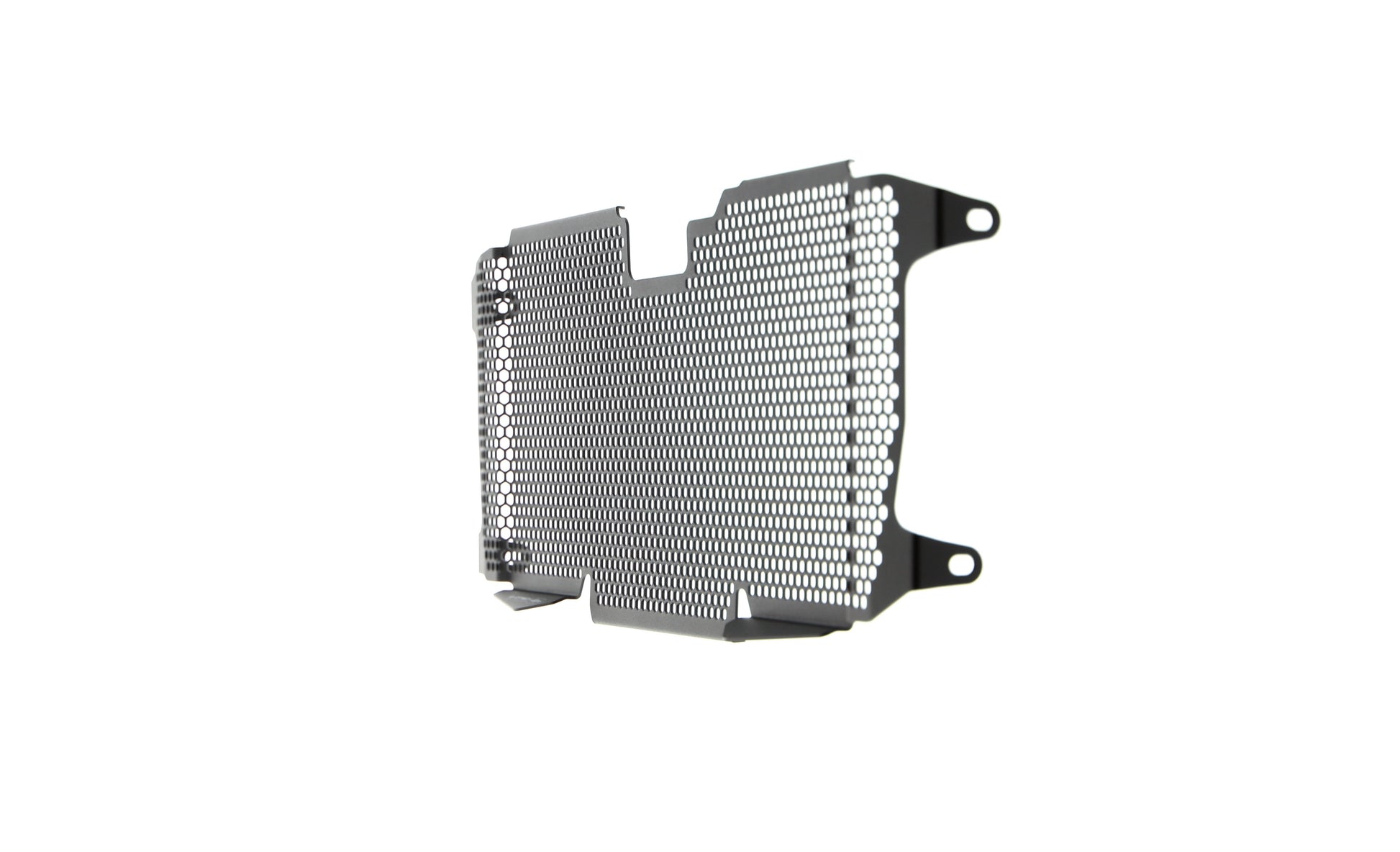 Evotech BMW R 1250 R Radiatorcover (2019+)