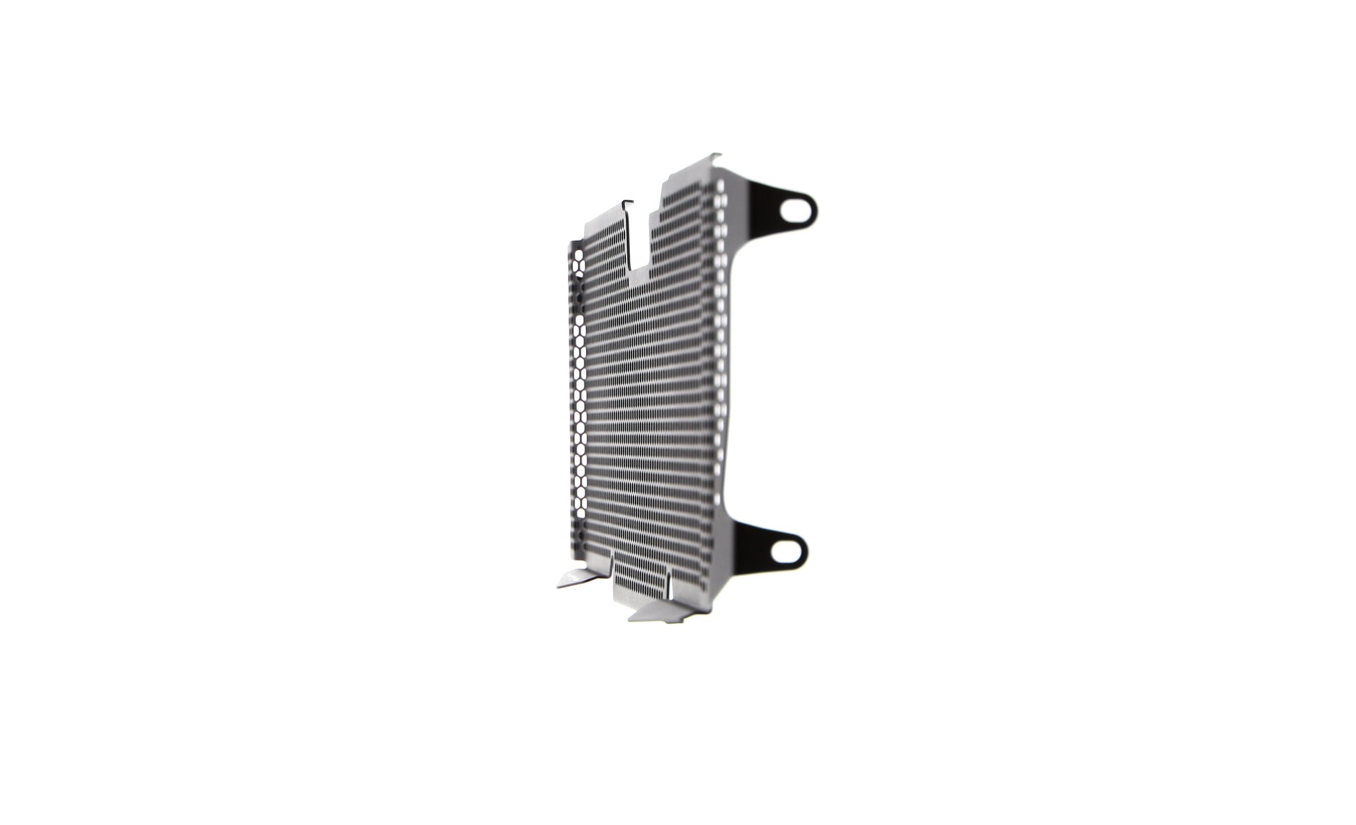 Evotech BMW R 1250 R Radiatorcover (2019+)