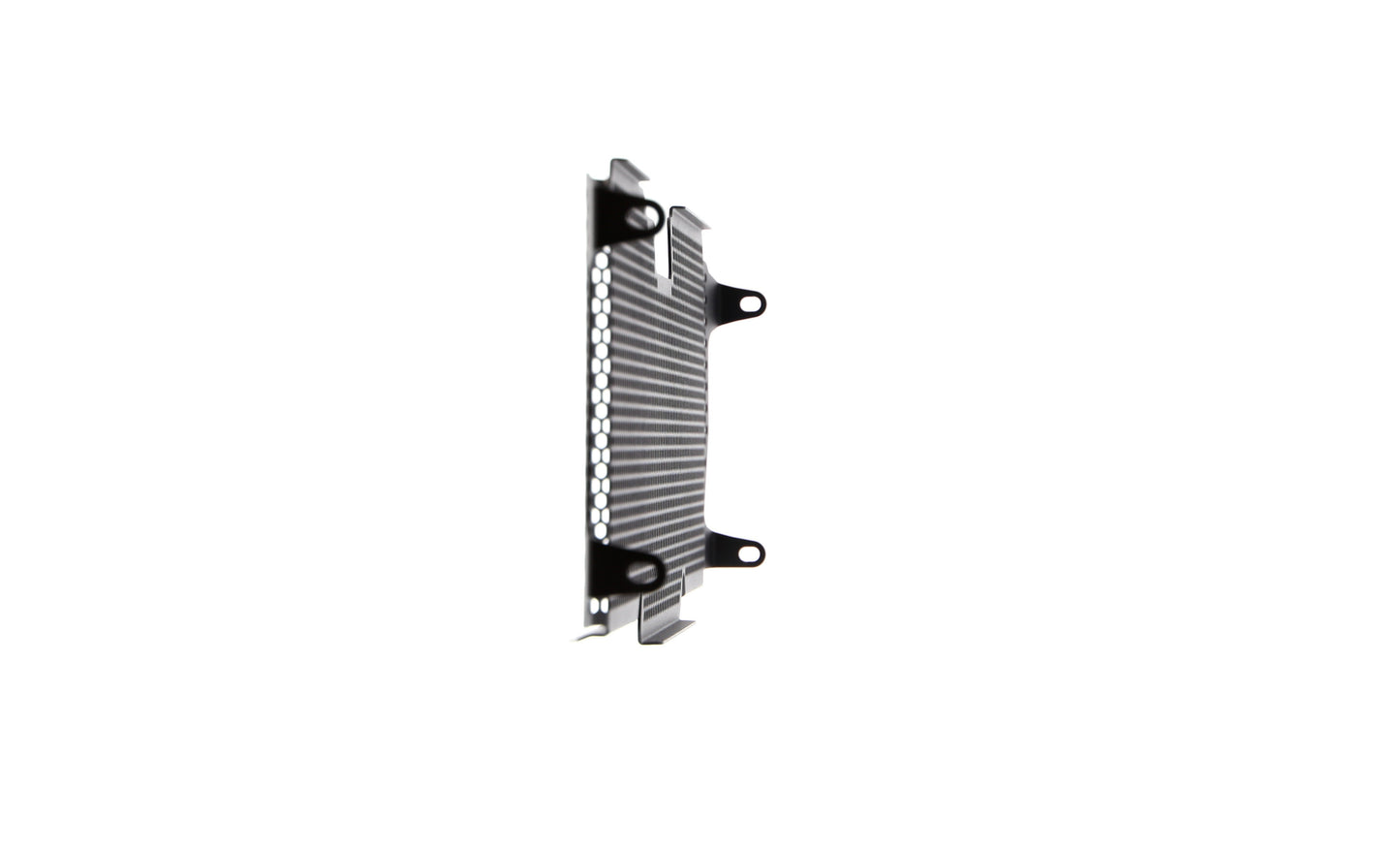 Evotech BMW R 1250 RS Radiatorcover (2019 - 2021)