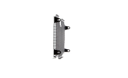 Evotech BMW R 1250 R Radiatorcover (2019+)