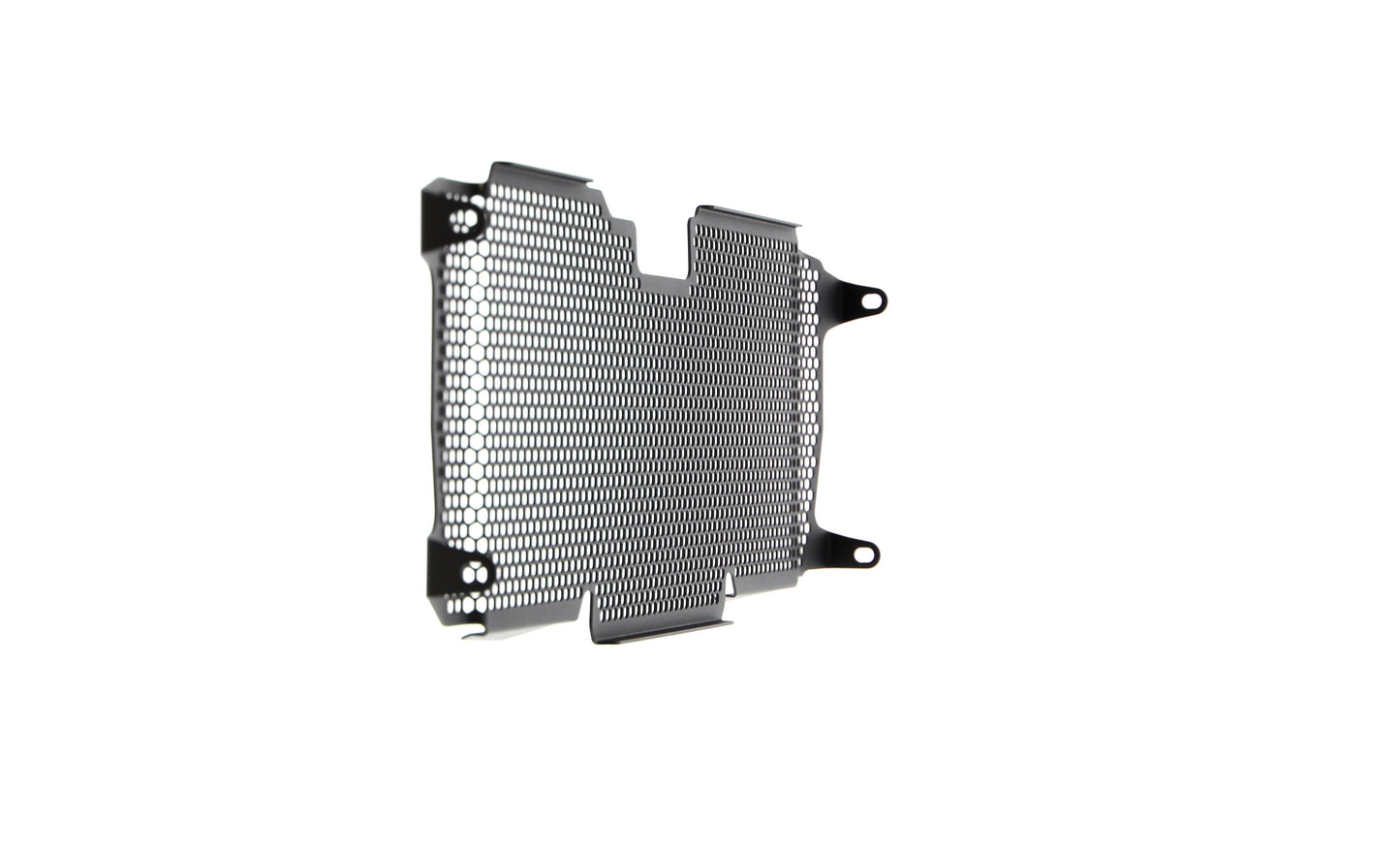 Evotech BMW R 1250 R Radiatorcover (2019+)