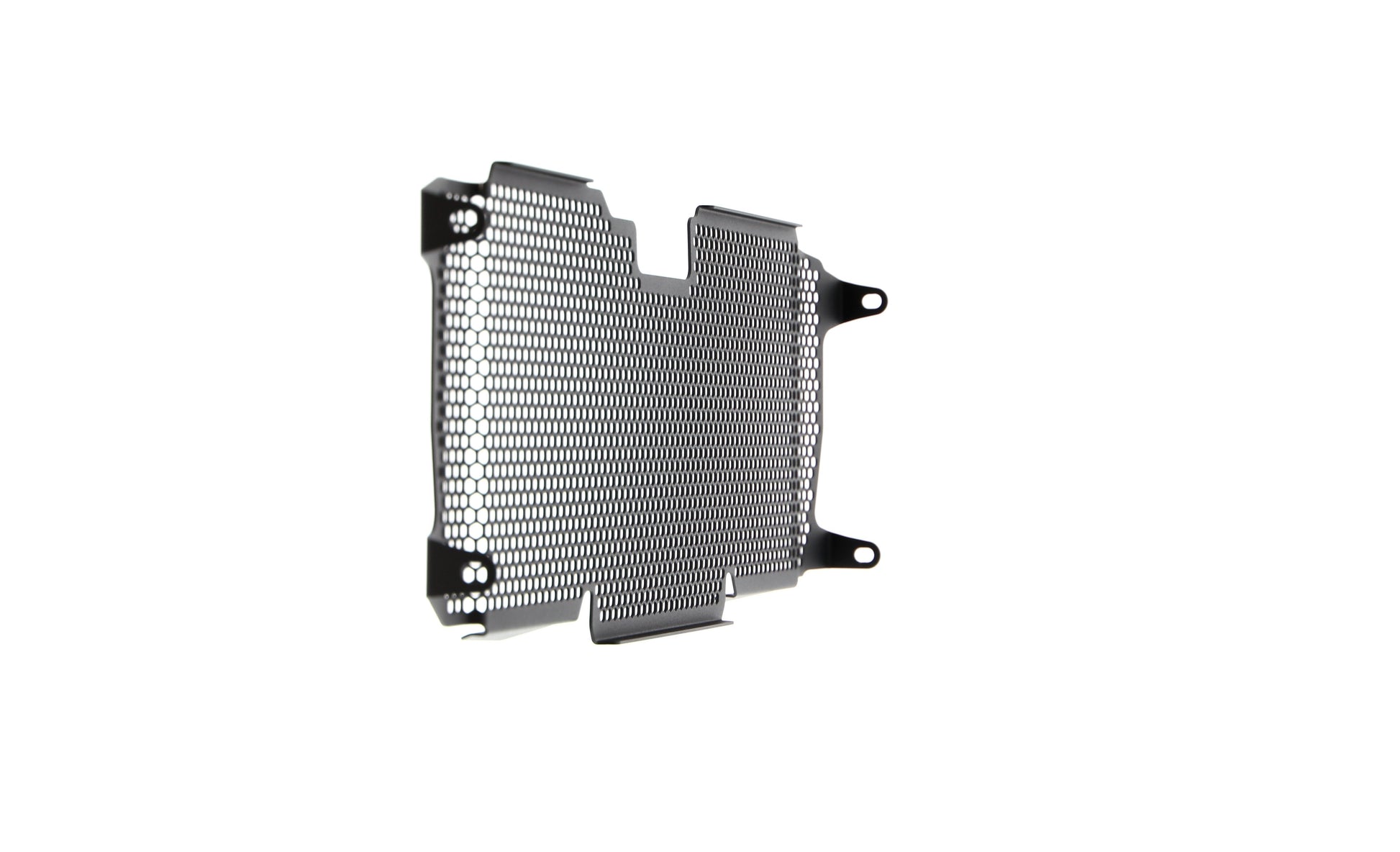 Evotech BMW R 1250 R Radiatorcover (2019+)
