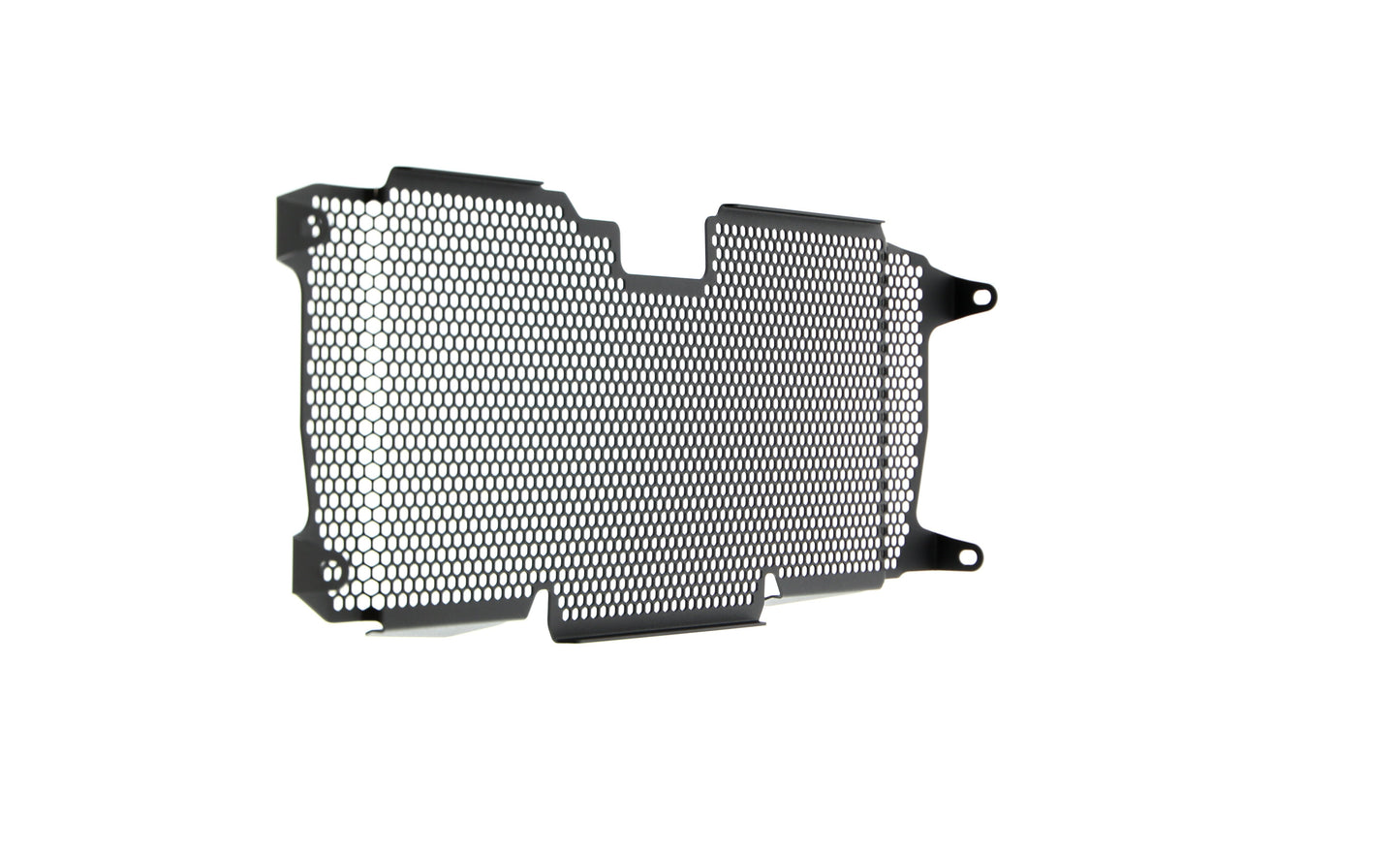 Evotech BMW R 1250 R Radiatorcover (2019+)