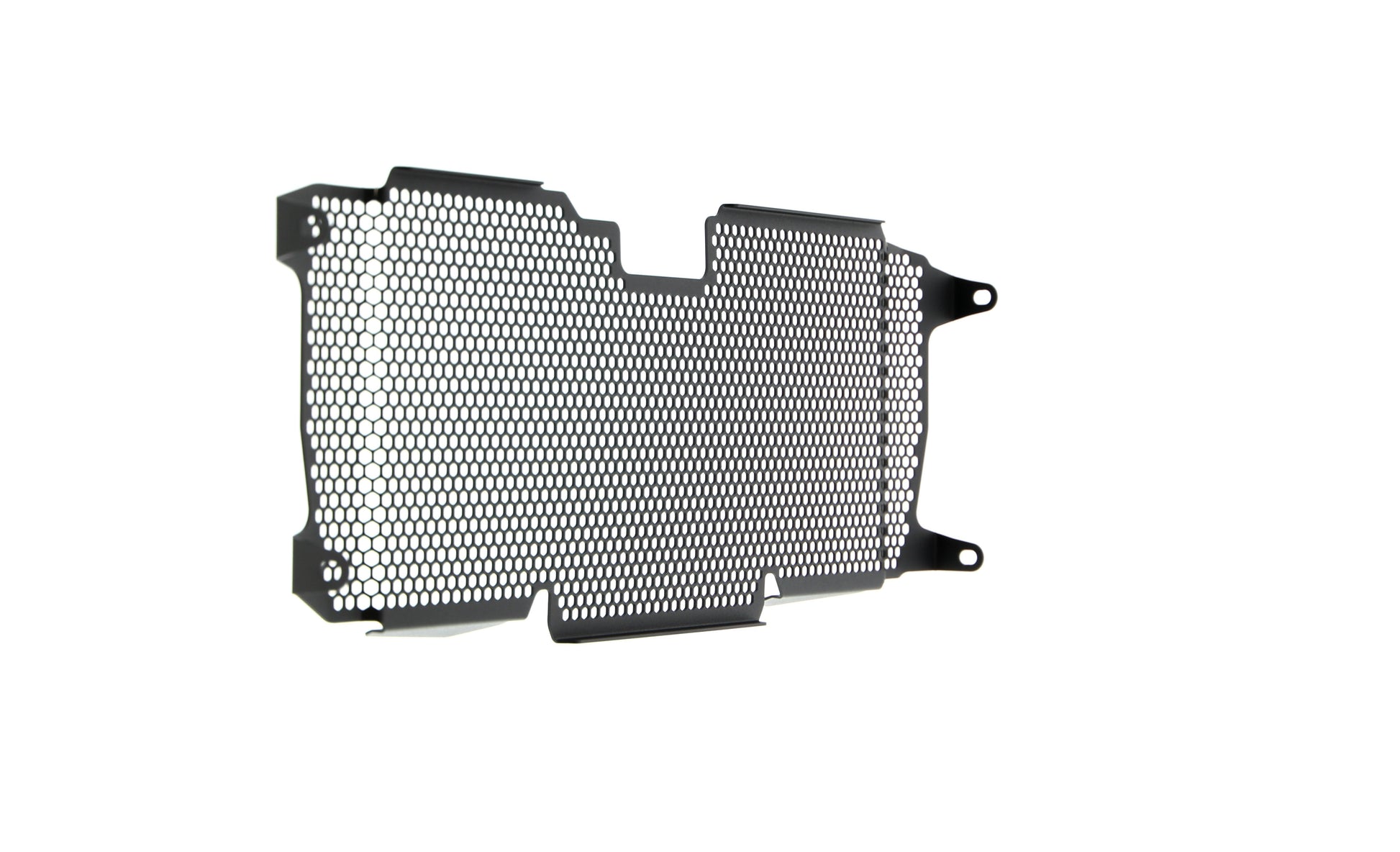 Evotech BMW R 1250 RS Radiatorcover (2019+)