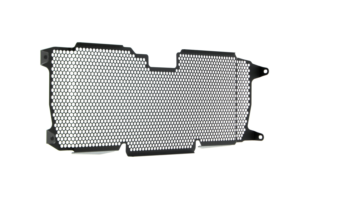 Evotech BMW R 1250 R Radiatorcover (2019+)