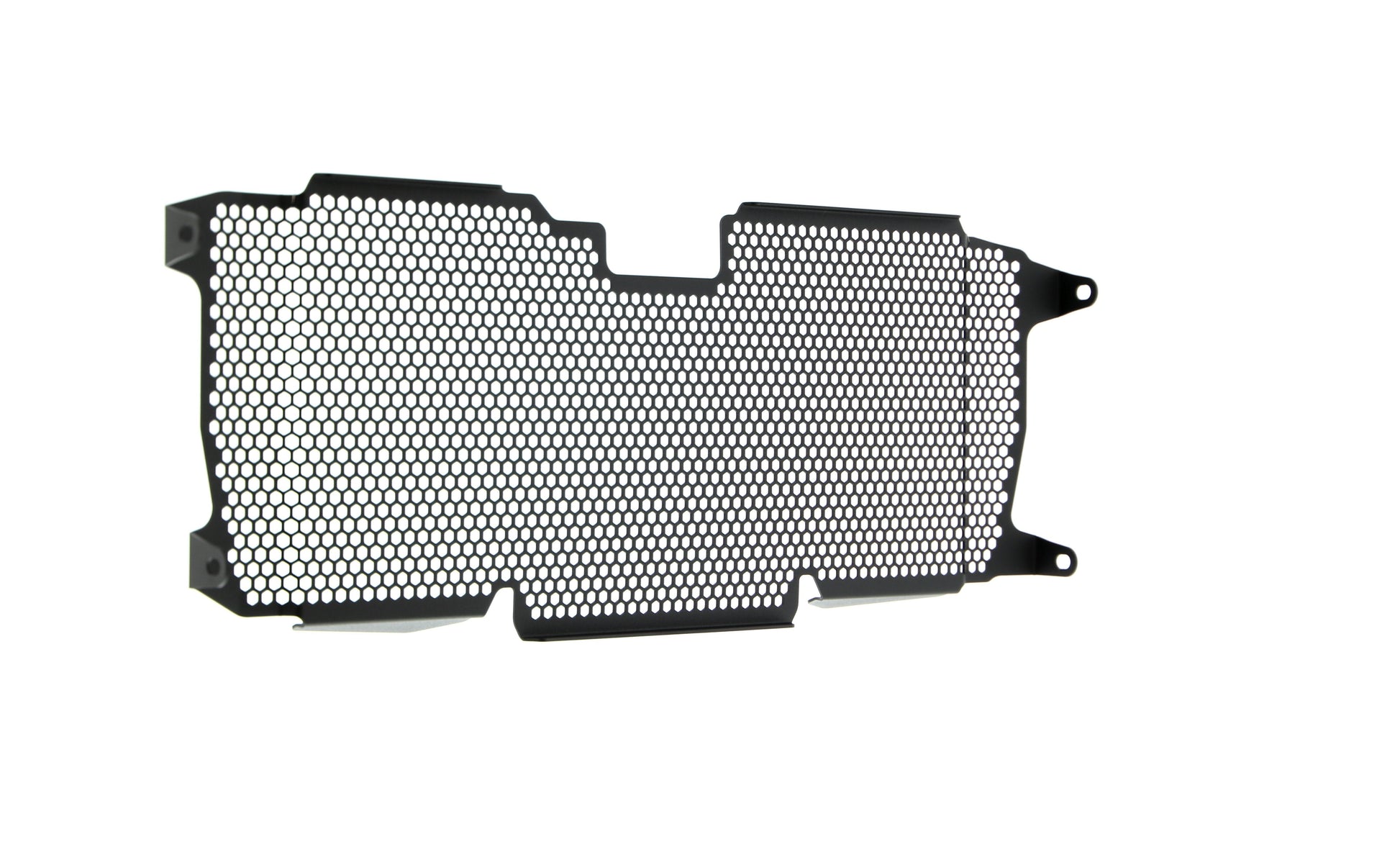 Evotech BMW R 1250 RS Radiatorcover (2022+)