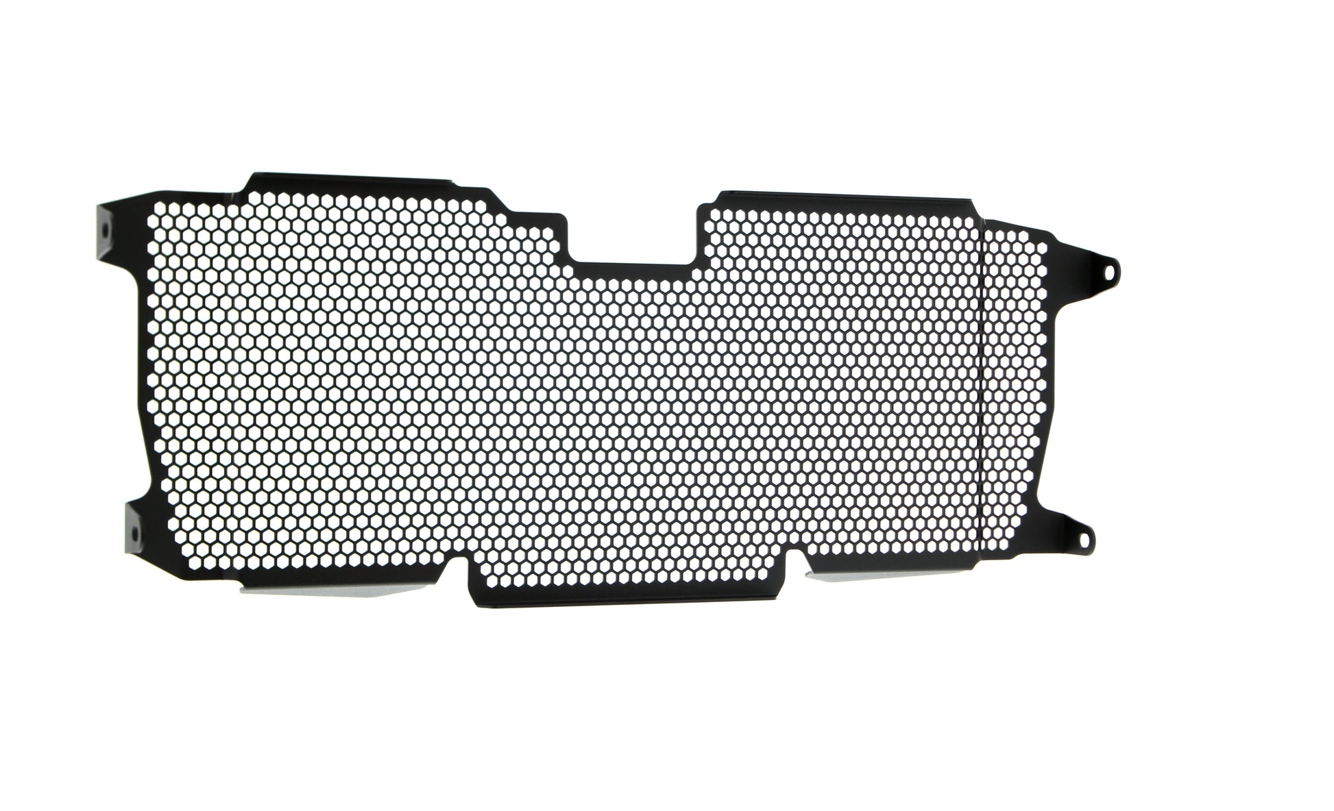 Evotech BMW R 1250 R Radiatorcover (2019+)