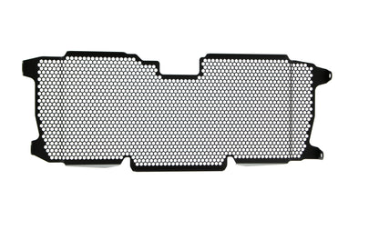 Evotech BMW R 1250 R Radiatorcover (2019+)