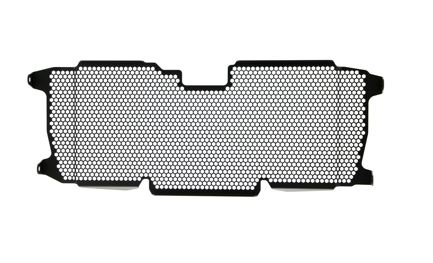Evotech BMW R 1250 R Radiatorcover (2019+)
