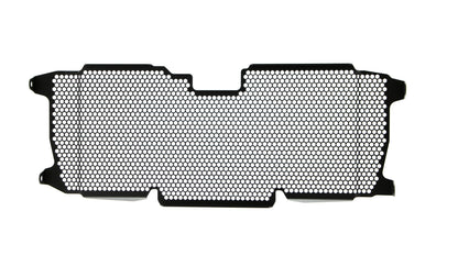 Evotech BMW R 1250 R Sport Radiatorcover (2019+)