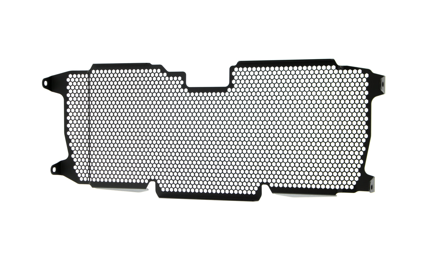 Evotech BMW R 1250 R Sport Radiatorcover (2019+)