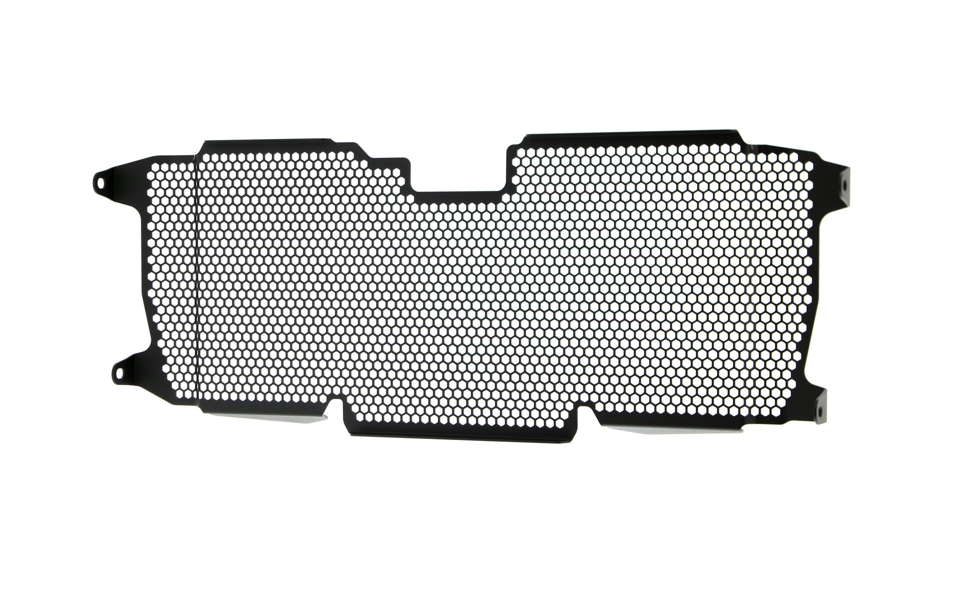 Evotech BMW R 1250 R Exclusive Radiatorcover 2019+