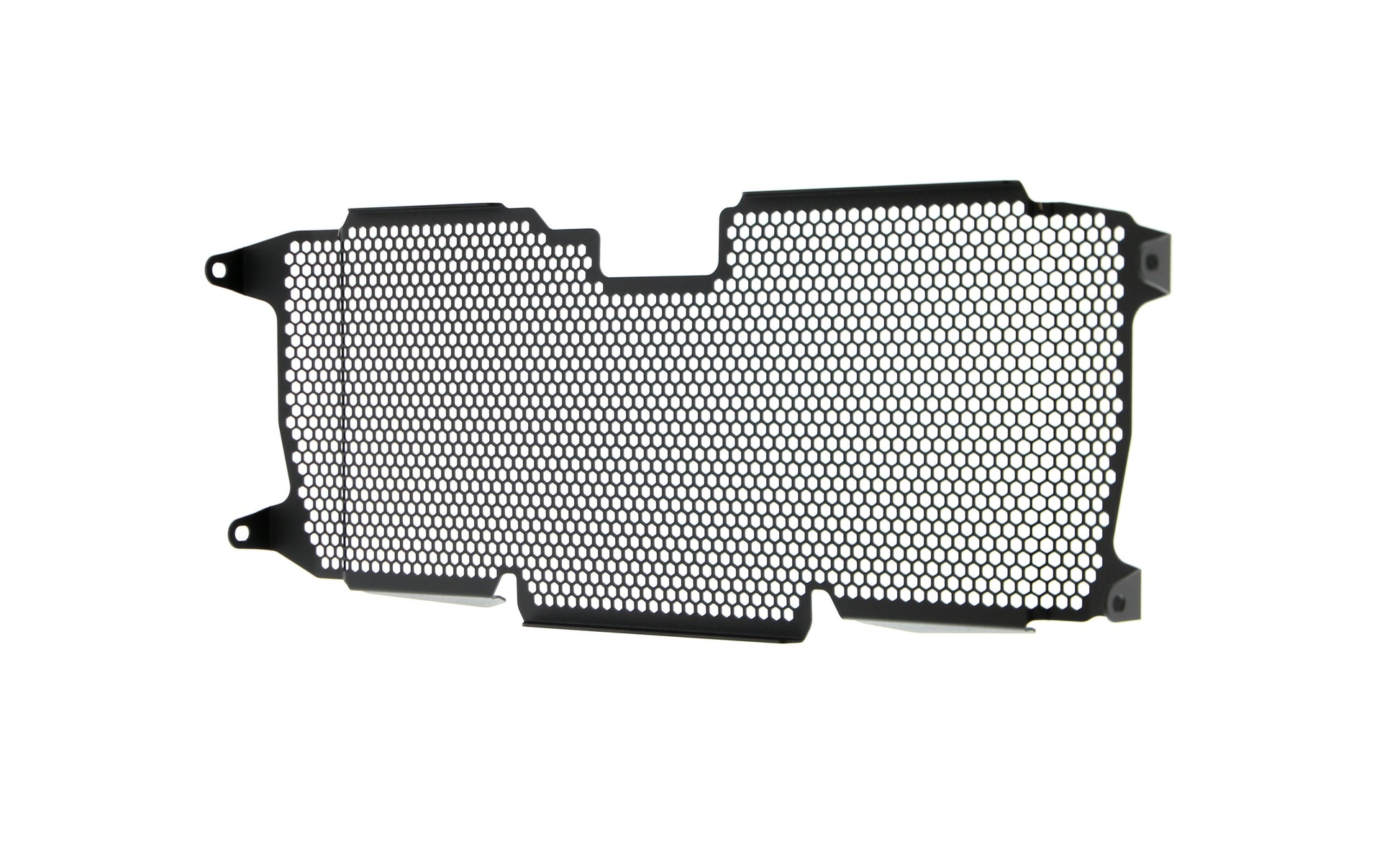 Evotech BMW R 1250 RS Radiatorcover (2019 - 2021)