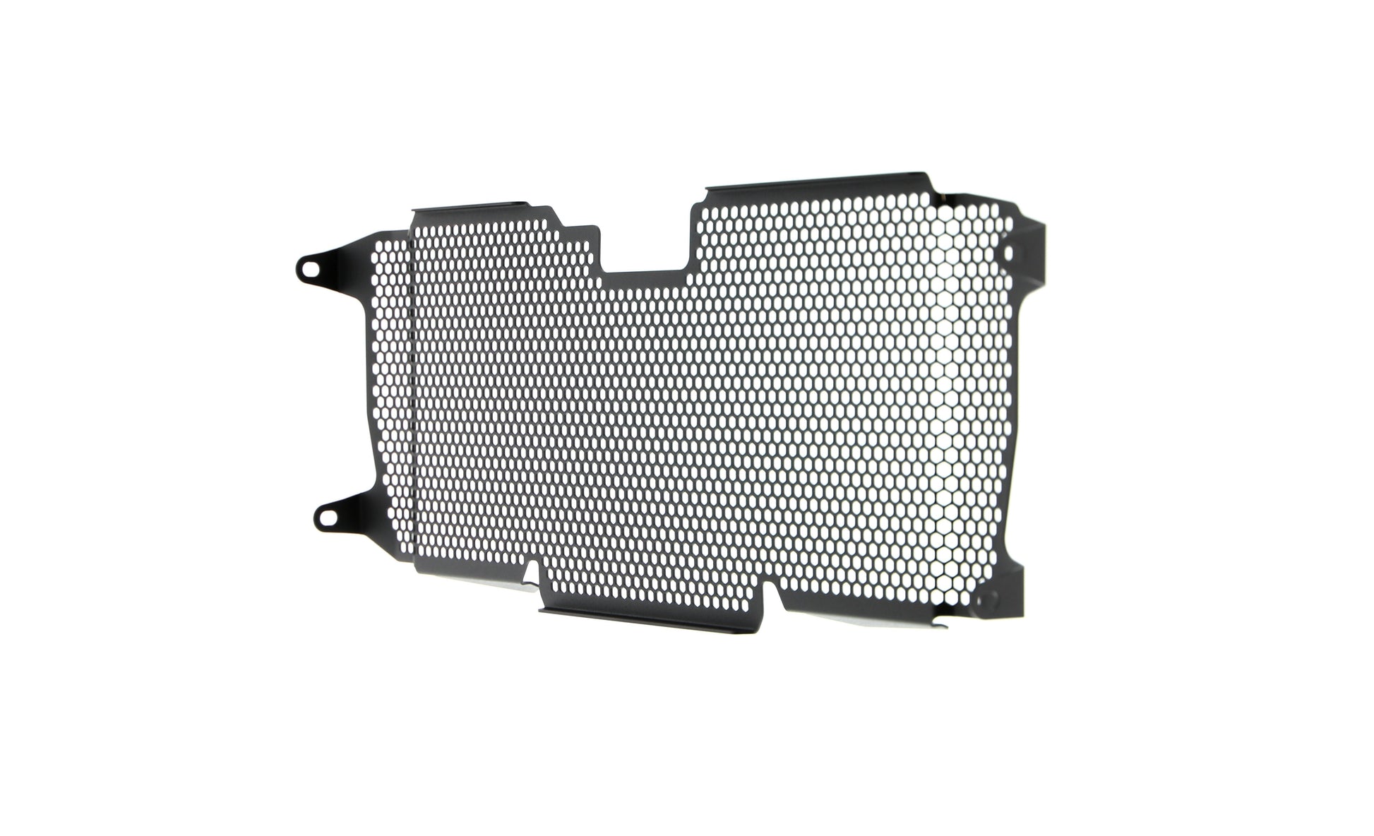 Evotech BMW R 1250 R Radiatorcover (2019+)