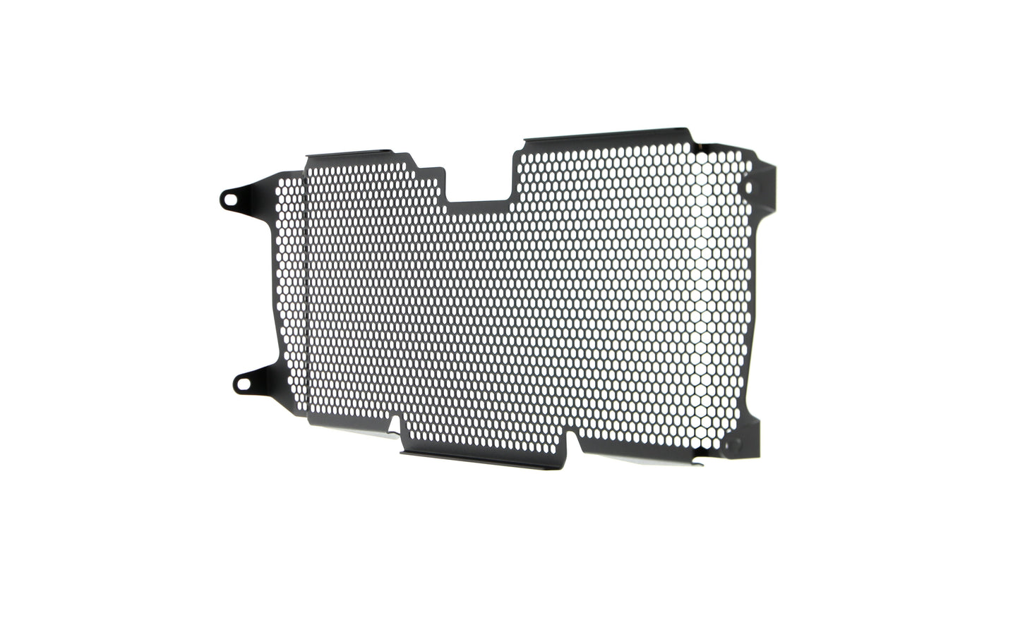 Evotech BMW R 1250 RS Radiatorcover (2019 - 2021)