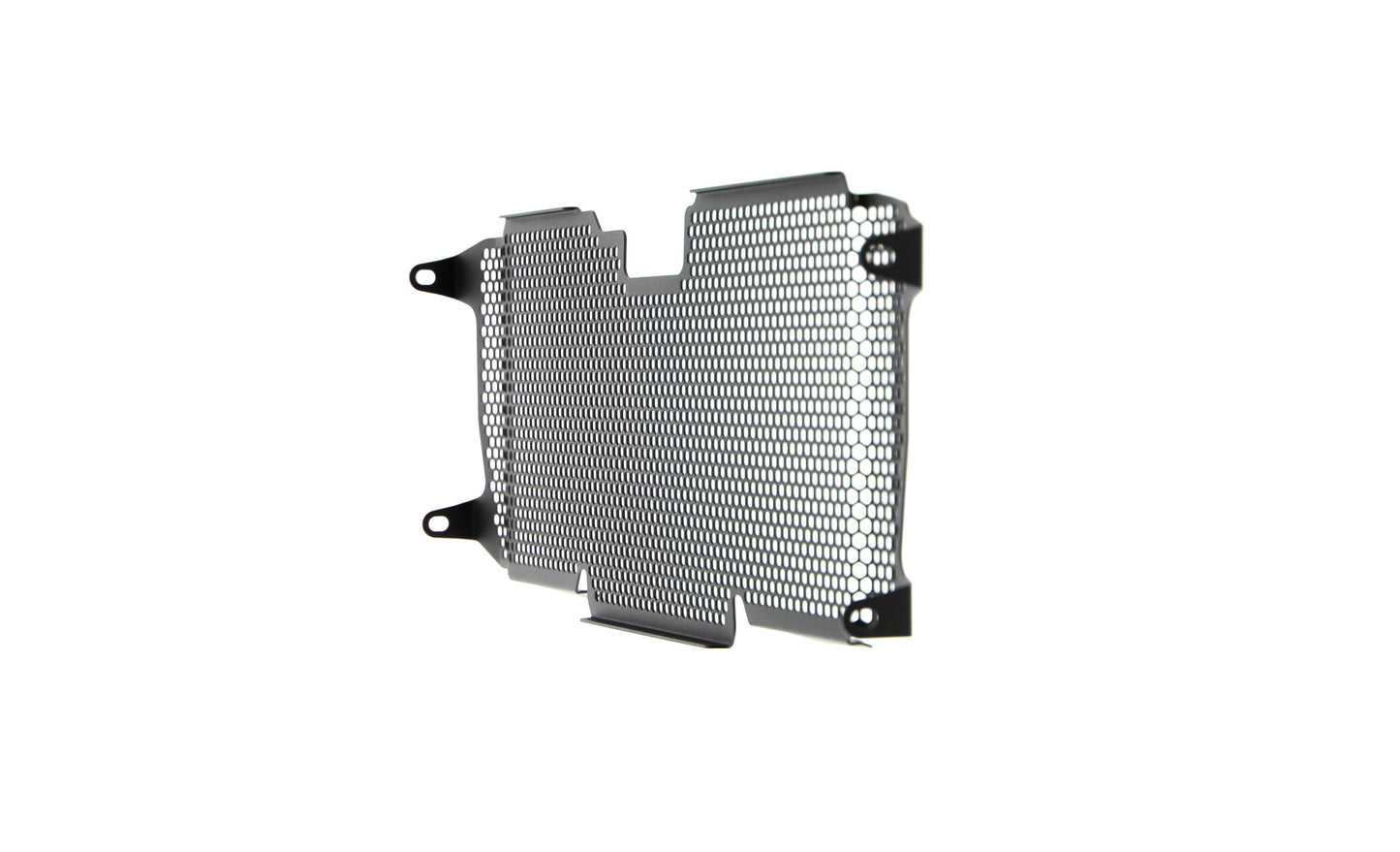 Evotech BMW R 1250 R Exclusive Radiatorcover 2019+