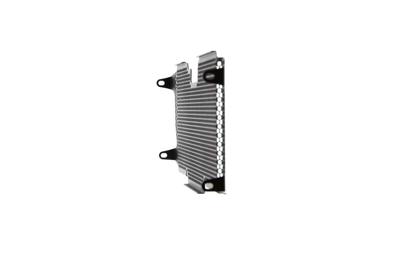 Evotech BMW R 1250 RS Radiatorcover (2019 - 2021)