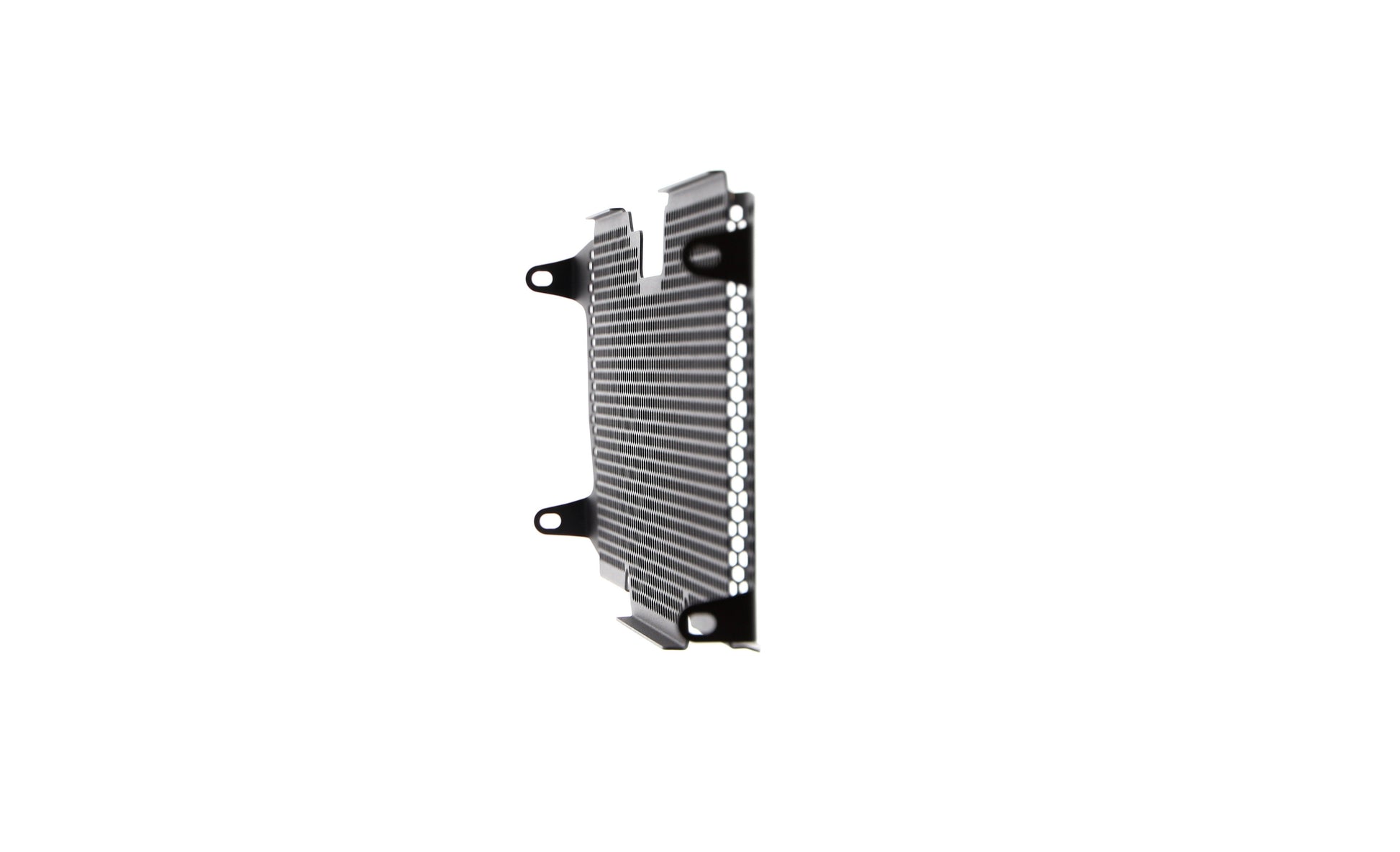 Evotech BMW R 1250 RS Radiatorcover (2019 - 2021)