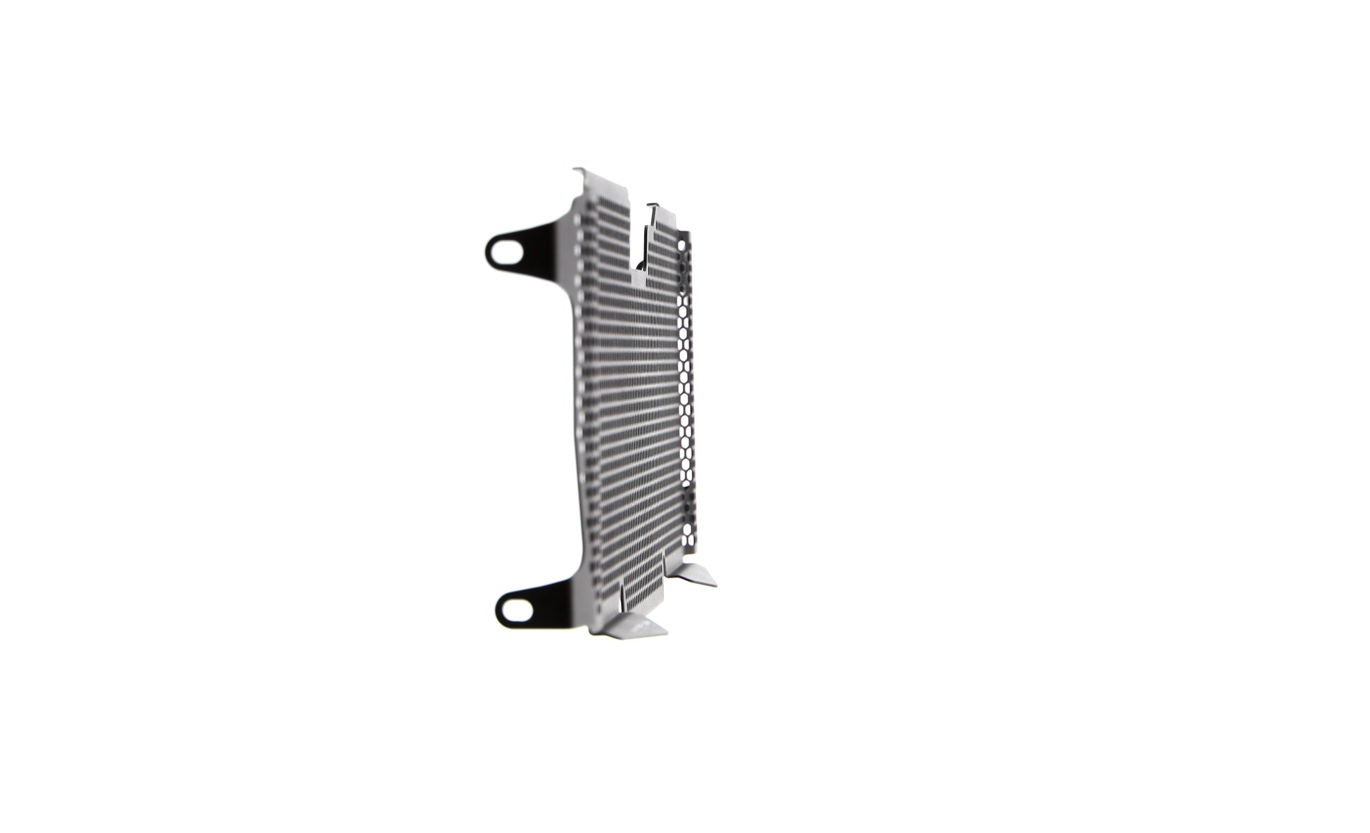 Evotech BMW R 1250 R Sport Radiatorcover (2019+)
