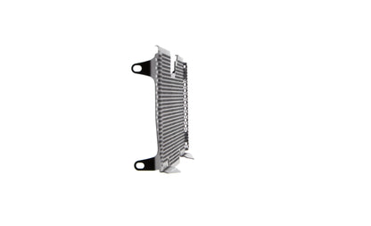 Evotech BMW R 1250 RS Radiatorcover (2019+)