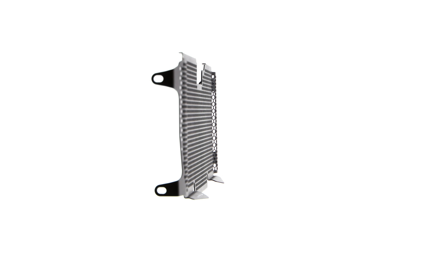 Evotech BMW R 1250 R Radiatorcover (2019+)