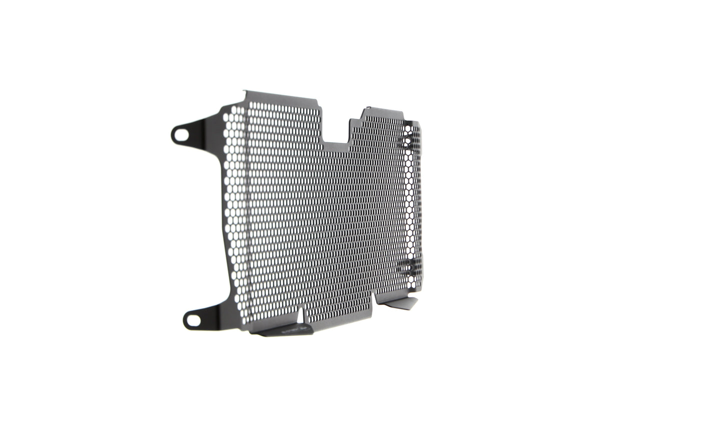Evotech BMW R 1250 RS Radiatorcover (2019 - 2021)