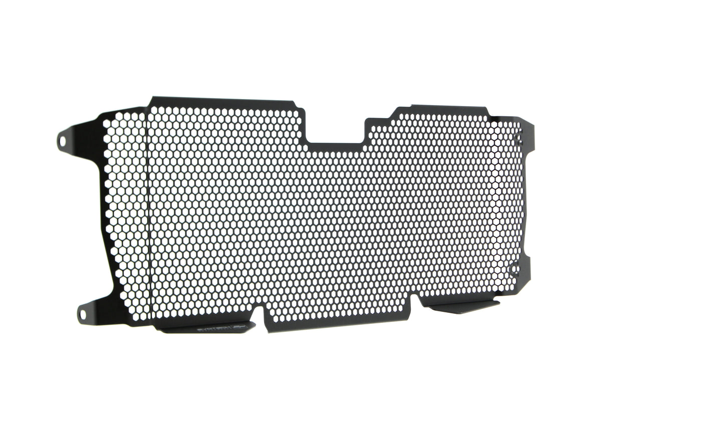 Evotech BMW R 1250 R Exclusive Radiatorcover 2019+