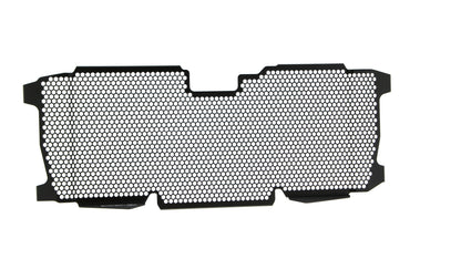 Evotech BMW R 1250 R Radiatorcover (2019+)