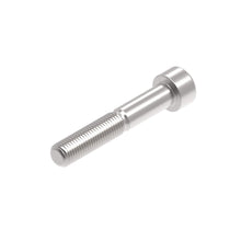 Evotech M10 x 60 x 1.25mm Pitch Caphead - 316 S/S
